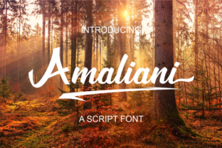Amaliani: A Script Font for Real-World Design