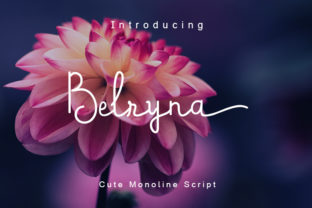 Belryna: A Modern Script Font for Web Design