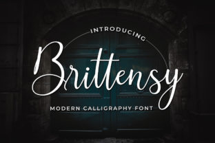Brittensy: A Modern Calligraphy Font for Small Business Branding