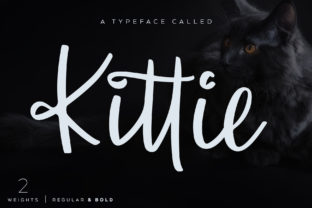 Kittie Script Font for Web Designers Who Value Character