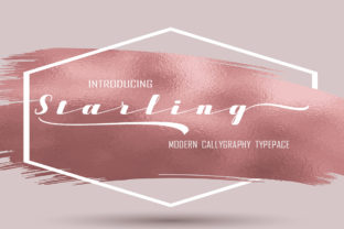 Starling: A Modern Calligraphy Font Built for Brand Identity Work