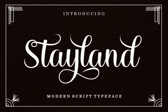 Stayland: A Designer’s Honest Review Before You Use It
