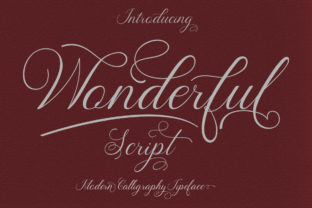 Wonderful Font: Elegant Script for Modern Design